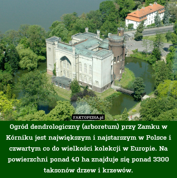 Ogród dendrologiczny (arboretum) przy Zamku w Kórniku jest największym i najstarszym w Polsce i czwartym co do wielkości kolekcji w Europie. Na powierzchni ponad 40 ha znajduje się ponad 3300 taksonów drzew i krzewów. 