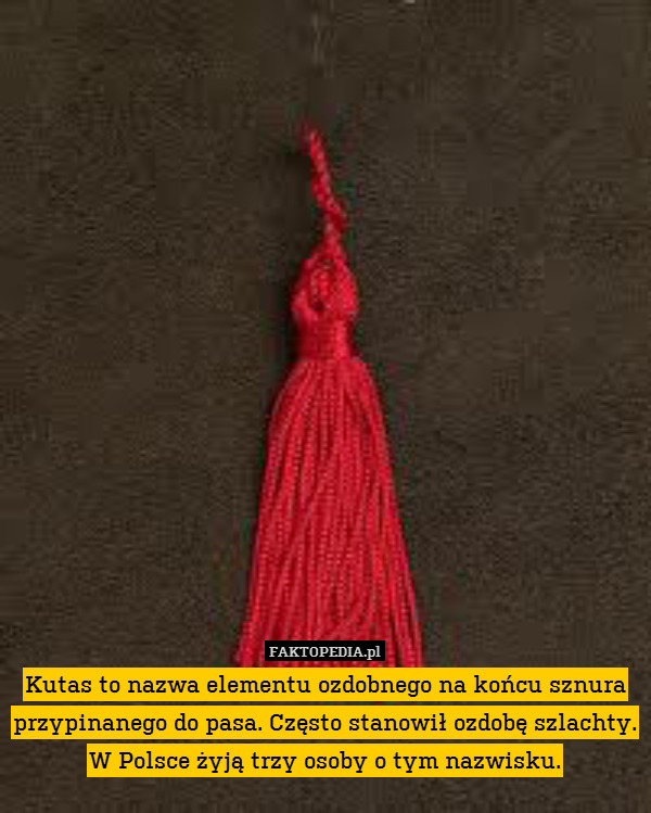 Kutas to nazwa elementu ozdobnego na końcu sznura przypinanego do pasa. Często stanowił ozdobę szlachty. W Polsce żyją trzy osoby o tym nazwisku. 