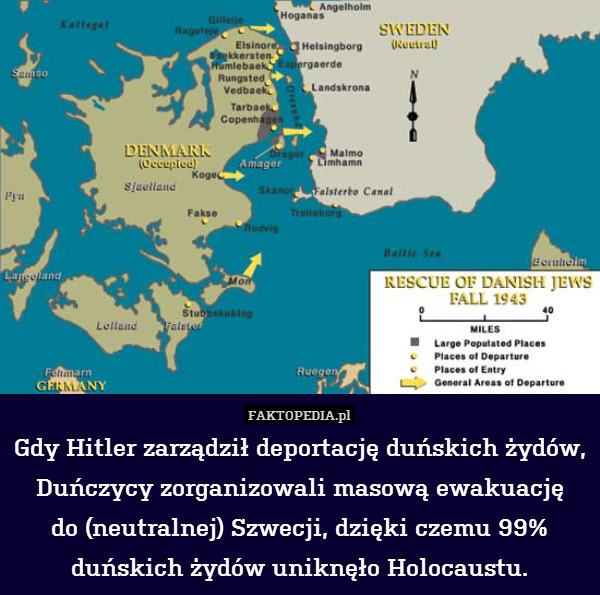 Gdy Hitler zarządził deportację duńskich żydów, Duńczycy zorganizowali masową ewakuację
do (neutralnej) Szwecji, dzięki czemu 99% duńskich żydów uniknęło Holocaustu. 