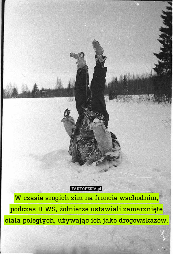 W czasie srogich zim na froncie wschodnim, podczas II WŚ, żołnierze ustawiali zamarznięte ciała poległych, używając ich jako drogowskazów. 