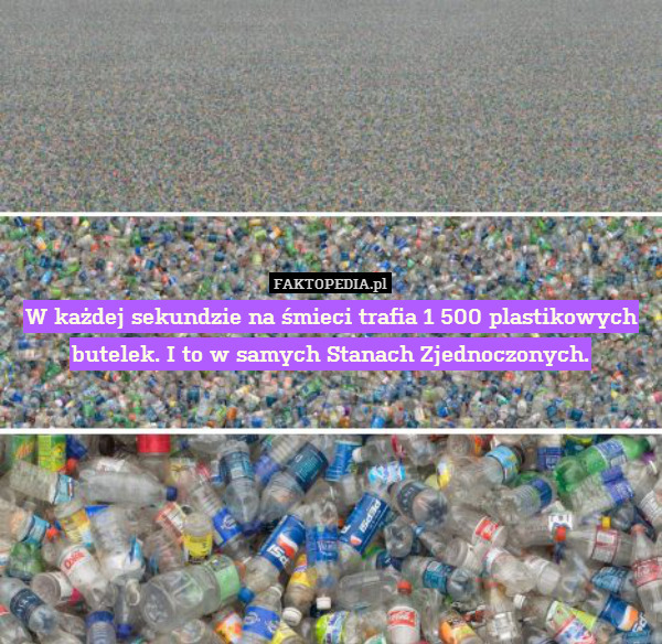 W każdej sekundzie na śmieci trafia 1 500 plastikowych butelek. I to w samych Stanach Zjednoczonych. 