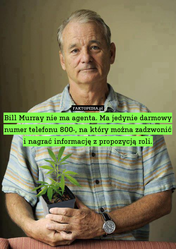 Bill Murray nie ma agenta. Ma jedynie darmowy numer telefonu 800-, na który można zadzwonić i nagrać informację z propozycją roli. 