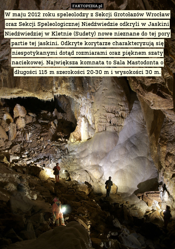 W maju 2012 roku speleolodzy z Sekcji Grotołazów Wrocław oraz Sekcji Speleologicznej Niedźwiedzie odkryli w Jaskini Niedźwiedziej w Kletnie (Sudety) nowe nieznane do tej pory partie tej jaskini. Odkryte korytarze charakteryzują się niespotykanymi dotąd rozmiarami oraz pięknem szaty naciekowej. Największa komnata to Sala Mastodonta o długości 115 m szerokości 20-30 m i wysokości 30 m. 