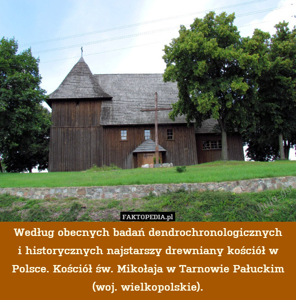 Według obecnych badań dendrochronologicznych
i historycznych najstarszy drewniany kościół w Polsce. Kościół św. Mikołaja w Tarnowie Pałuckim (woj. wielkopolskie). 