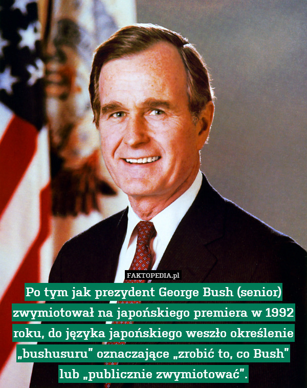 Po tym jak prezydent George Bush (senior) zwymiotował na japońskiego premiera w 1992 roku, do języka japońskiego weszło określenie „bushusuru” oznaczające „zrobić to, co Bush”
lub „publicznie zwymiotować”. 
