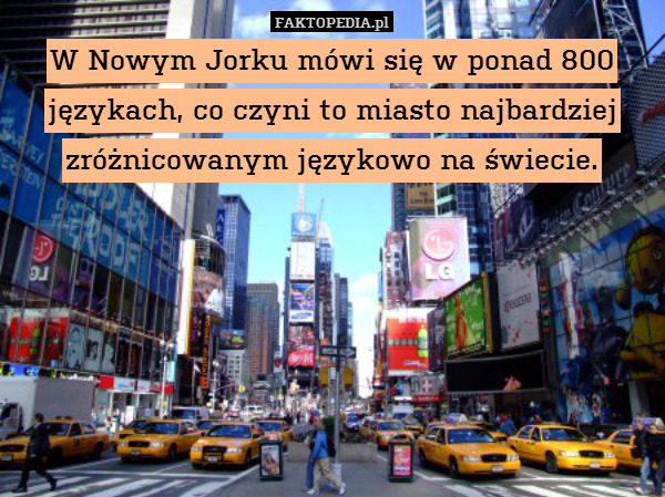 W Nowym Jorku mówi się w ponad 800 językach, co czyni to miasto najbardziej zróżnicowanym językowo na świecie. 