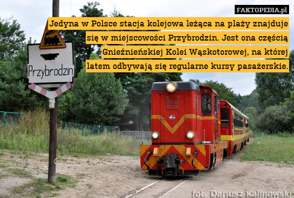 Jedyna w Polsce stacja kolejowa leżąca na plaży znajduje
się w miejscowości Przybrodzin. Jest ona częścią
Gnieźnieńskiej Kolei Wąskotorowej, na której
latem odbywają się regularne kursy pasażerskie. 