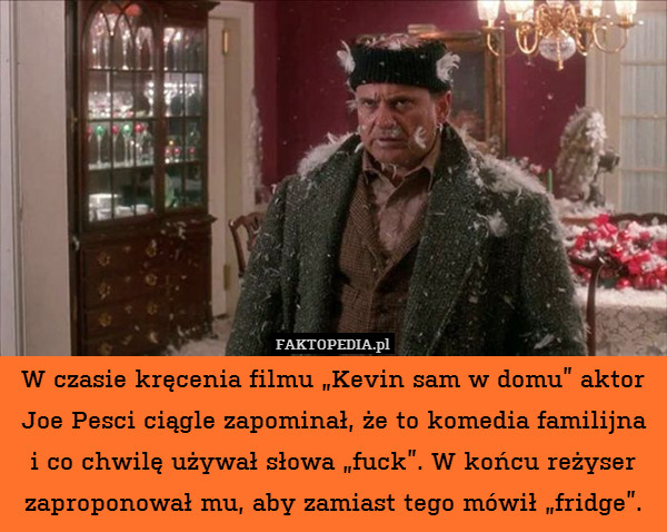 W czasie kręcenia filmu „Kevin sam w domu” aktor Joe Pesci ciągle zapominał, że to komedia familijna i co chwilę używał słowa „fuck”. W końcu reżyser zaproponował mu, aby zamiast tego mówił „fridge”. 