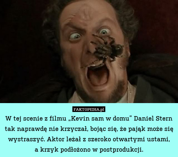 W tej scenie z filmu „Kevin sam w domu” Daniel Stern tak naprawdę nie krzyczał, bojąc się, że pająk może się wystraszyć. Aktor leżał z szeroko otwartymi ustami,
a krzyk podłożono w postprodukcji. 