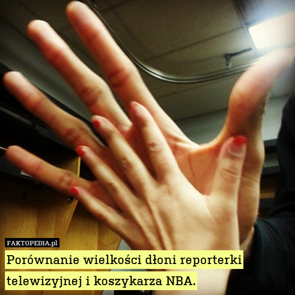 Porównanie wielkości dłoni reporterki
telewizyjnej i koszykarza NBA. 