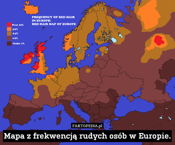 Mapa z frekwencją rudych osób w Europie. 