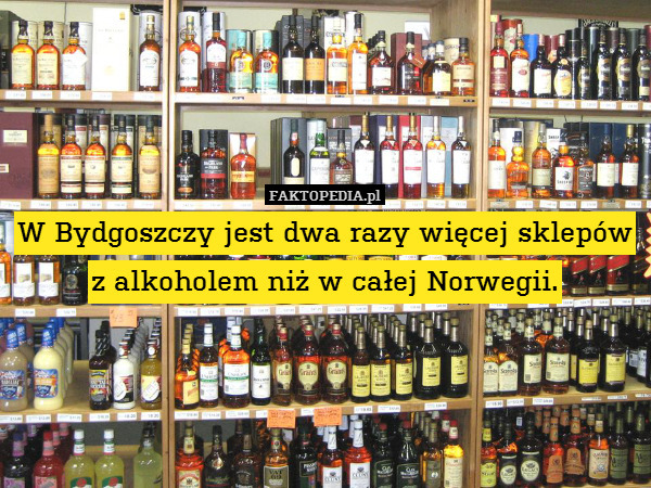 W Bydgoszczy jest dwa razy więcej sklepów z alkoholem niż w całej Norwegii. 