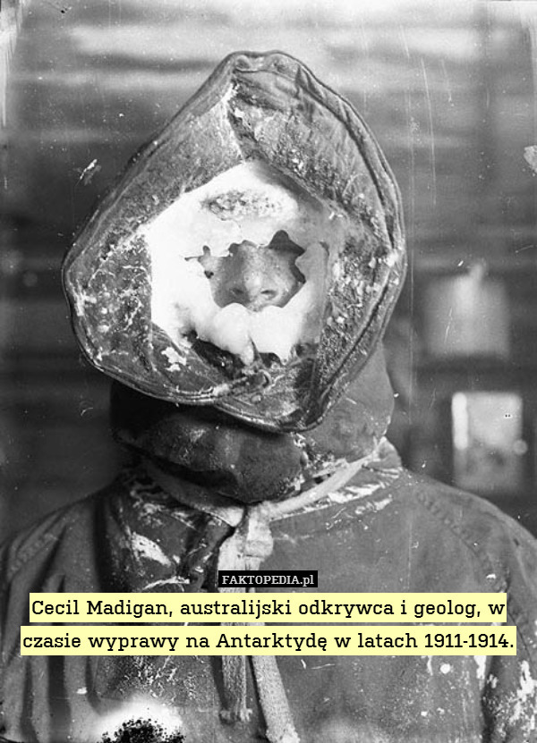 Cecil Madigan, australijski odkrywca i geolog, w czasie wyprawy na Antarktydę w latach 1911-1914. 