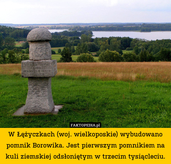 W Łężyczkach (woj. wielkoposkie) wybudowano pomnik Borowika. Jest pierwszym pomnikiem na kuli ziemskiej odsłoniętym w trzecim tysiącleciu. 