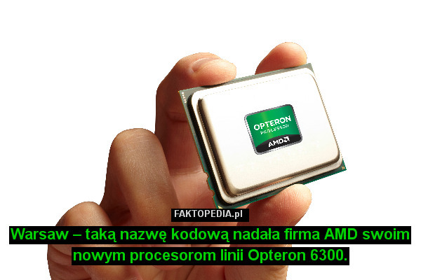 Warsaw – taką nazwę kodową nadała firma AMD swoim nowym procesorom linii Opteron 6300. 
