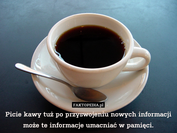 Picie kawy tuż po przyswojeniu nowych informacji może te informacje umacniać w pamięci. 