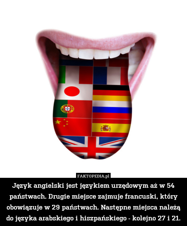 Język angielski jest językiem urzędowym aż w 54 państwach. Drugie miejsce zajmuje francuski, który obowiązuje w 29 państwach. Następne miejsca należą do języka arabskiego i hiszpańskiego - kolejno 27 i 21. 