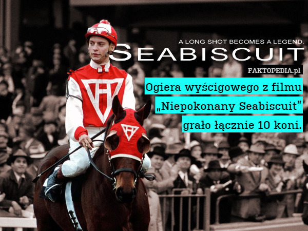 Ogiera wyścigowego z filmu
„Niepokonany Seabiscuit”
grało łącznie 10 koni. 