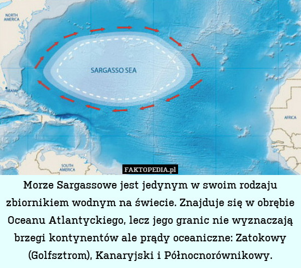 Morze Sargassowe jest jedynym w swoim rodzaju zbiornikiem wodnym na świecie. Znajduje się w obrębie Oceanu Atlantyckiego, lecz jego granic nie wyznaczają brzegi kontynentów ale prądy oceaniczne: Zatokowy (Golfsztrom), Kanaryjski i Północnorównikowy. 