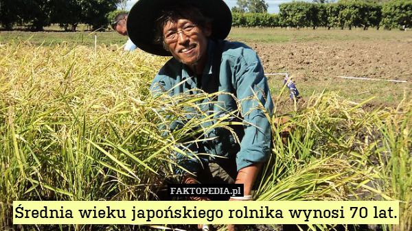 Średnia wieku japońskiego rolnika wynosi 70 lat. 