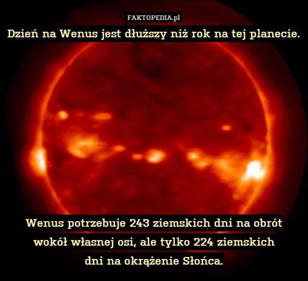 Dzień na Wenus jest dłuższy niż rok na tej planecie.









Wenus potrzebuje 243 ziemskich dni na obrót
wokół własnej osi, ale tylko 224 ziemskich
dni na okrążenie Słońca. 