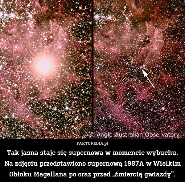 Tak jasna staje się supernowa w momencie wybuchu. Na zdjęciu przedstawiono supernową 1987A w Wielkim Obłoku Magellana po oraz przed „śmiercią gwiazdy”. 