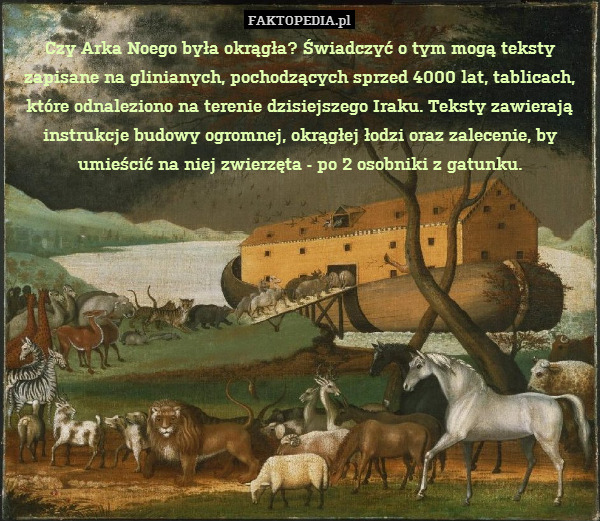Czy Arka Noego była okrągła? Świadczyć o tym mogą teksty zapisane na glinianych, pochodzących sprzed 4000 lat, tablicach, które odnaleziono na terenie dzisiejszego Iraku. Teksty zawierają instrukcje budowy ogromnej, okrągłej łodzi oraz zalecenie, by umieścić na niej zwierzęta - po 2 osobniki z gatunku. 