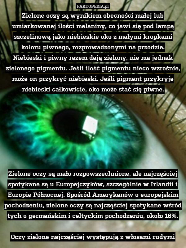 Zielone oczy są wynikiem obecności małej lub umiarkowanej ilości melaniny, co jawi się pod lampą szczelinową jako niebieskie oko z małymi kropkami koloru piwnego, rozprowadzonymi na przodzie.
Niebieski i piwny razem dają zielony, nie ma jednak zielonego pigmentu. Jeśli ilość pigmentu nieco wzrośnie, może on przykryć niebieski. Jeśli pigment przykryje niebieski całkowicie, oko może stać się piwne.







Zielone oczy są mało rozpowszechnione, ale najczęściej spotykane są u Europejczyków, szczególnie w Irlandii i Europie Północnej. Spośród Amerykanów o europejskim pochodzeniu, zielone oczy są najczęściej spotykane wśród tych o germańskim i celtyckim pochodzeniu, około 16%.

Oczy zielone najczęściej występują z włosami rudymi 