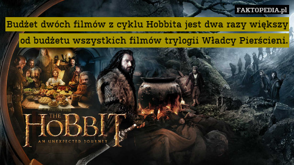 Budżet dwóch filmów z cyklu Hobbita jest dwa razy większy od budżetu wszystkich filmów trylogii Władcy Pierścieni. 