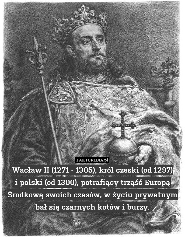 Wacław II (1271 - 1305), król czeski (od 1297)
i polski (od 1300), potrafiący trząść Europą Środkową swoich czasów, w życiu prywatnym bał się czarnych kotów i burzy. 