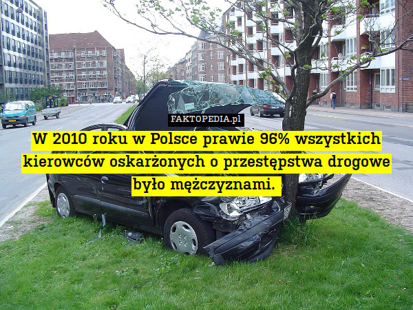 W 2010 roku w Polsce prawie 96% wszystkich kierowców oskarżonych o przestępstwa drogowe było mężczyznami. 