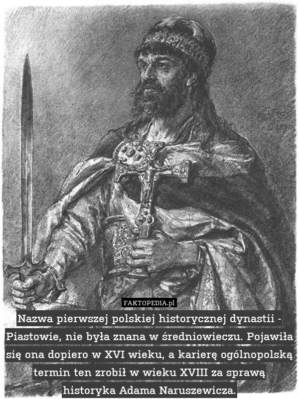 Nazwa pierwszej polskiej historycznej dynastii - Piastowie, nie była znana w średniowieczu. Pojawiła się ona dopiero w XVI wieku, a karierę ogólnopolską termin ten zrobił w wieku XVIII za sprawą historyka Adama Naruszewicza. 