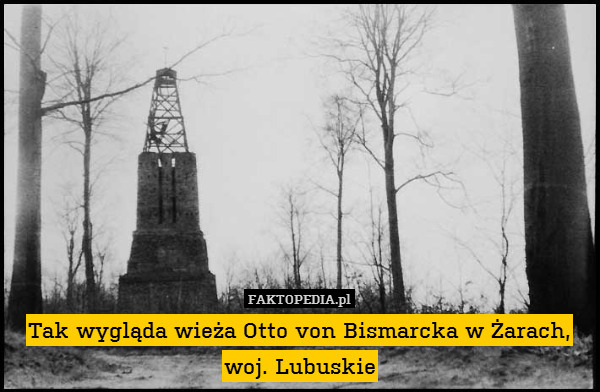 Tak wygląda wieża Otto von Bismarcka w Żarach, woj. Lubuskie 
