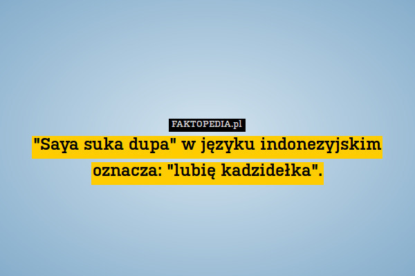 "Saya suka dupa" w języku indonezyjskim oznacza: "lubię kadzidełka". 