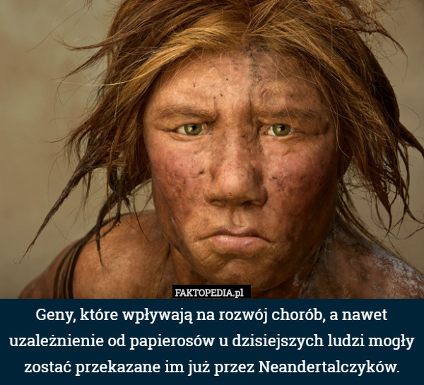 Geny, które wpływają na rozwój chorób, a nawet uzależnienie od papierosów u dzisiejszych ludzi mogły zostać przekazane im już przez Neandertalczyków. 