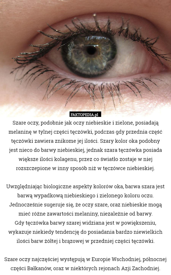 Szare oczy, podobnie jak oczy niebieskie i zielone, posiadają melaninę w tylnej części tęczówki, podczas gdy przednia część tęczówki zawiera znikome jej ilości. Szary kolor oka podobny
 jest nieco do barwy niebieskiej, jednak szara tęczówka posiada większe ilości kolagenu, przez co światło zostaje w niej rozszczepione w inny sposób niż w tęczówce niebieskiej.

 Uwzględniając biologiczne aspekty kolorów oka, barwa szara jest barwą wypadkową niebieskiego i zielonego koloru oczu. Jednocześnie sugeruje się, że oczy szare, oraz niebieskie mogą mieć różne zawartości melaniny, niezależnie od barwy.
 Gdy tęczówka barwy szarej widziana jest w powiększeniu, wykazuje niekiedy tendencję do posiadania bardzo niewielkich ilości barw żółtej i brązowej w przedniej części tęczówki.

 Szare oczy najczęściej występują w Europie Wschodniej, północnej części Bałkanów, oraz w niektórych rejonach Azji Zachodniej. 