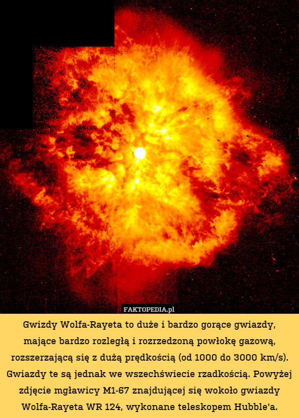 Gwizdy Wolfa-Rayeta to duże i bardzo gorące gwiazdy, mające bardzo rozległą i rozrzedzoną powłokę gazową, rozszerzającą się z dużą prędkością (od 1000 do 3000 km/s). Gwiazdy te są jednak we wszechświecie rzadkością. Powyżej zdjęcie mgławicy M1-67 znajdującej się wokoło gwiazdy Wolfa-Rayeta WR 124, wykonane teleskopem Hubble'a. 