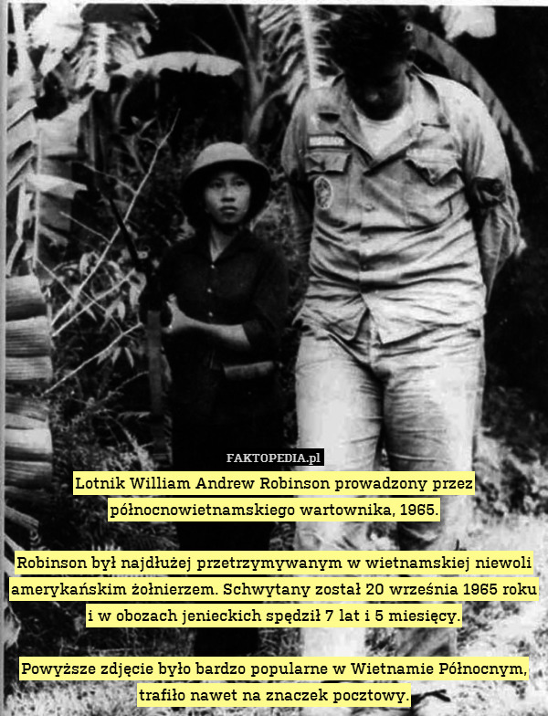 Lotnik William Andrew Robinson prowadzony przez północnowietnamskiego wartownika, 1965.

Robinson był najdłużej przetrzymywanym w wietnamskiej niewoli amerykańskim żołnierzem. Schwytany został 20 września 1965 roku i w obozach jenieckich spędził 7 lat i 5 miesięcy.

Powyższe zdjęcie było bardzo popularne w Wietnamie Północnym, trafiło nawet na znaczek pocztowy. 