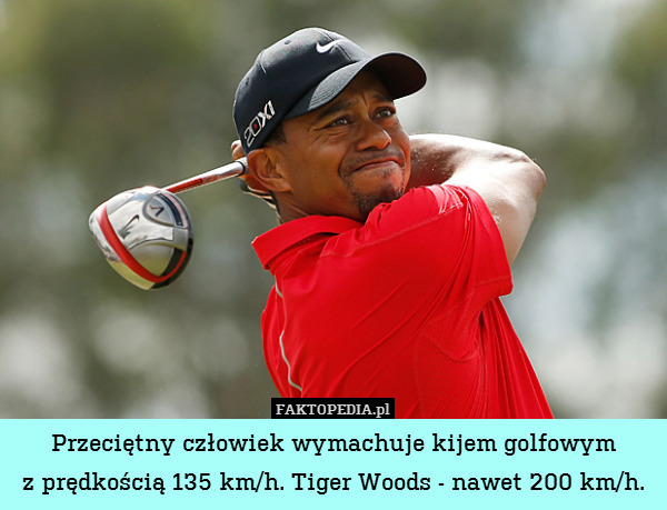 Przeciętny człowiek wymachuje kijem golfowym
z prędkością 135 km/h. Tiger Woods - nawet 200 km/h. 