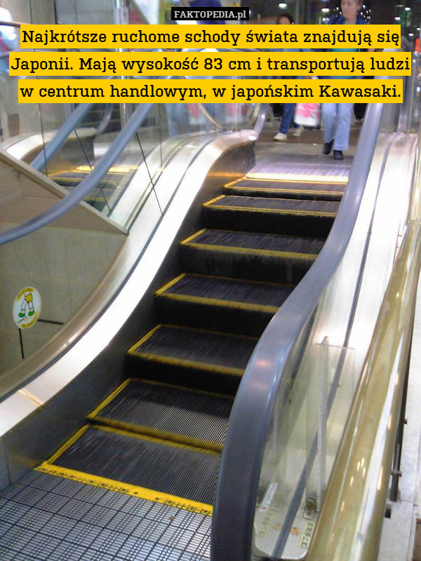 Najkrótsze ruchome schody świata znajdują się Japonii. Mają wysokość 83 cm i transportują ludzi
w centrum handlowym, w japońskim Kawasaki. 