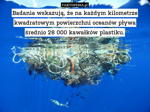 Badania wskazują, że na każdym kilometrze kwadratowym powierzchni oceanów pływa średnio 28 000 kawałków plastiku. 