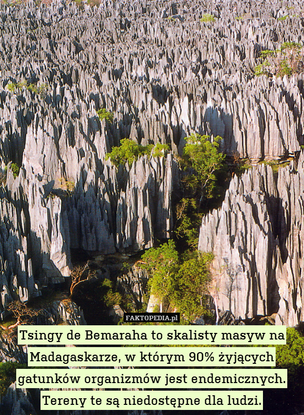 Tsingy de Bemaraha to skalisty masyw na Madagaskarze, w którym 90% żyjących gatunków organizmów jest endemicznych. Tereny te są niedostępne dla ludzi. 