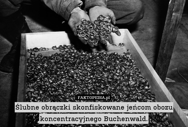 Ślubne obrączki skonfiskowane jeńcom obozu koncentracyjnego Buchenwald. 