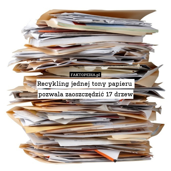 Recykling jednej tony papieru 
pozwala zaoszczędzić 17 drzew 
