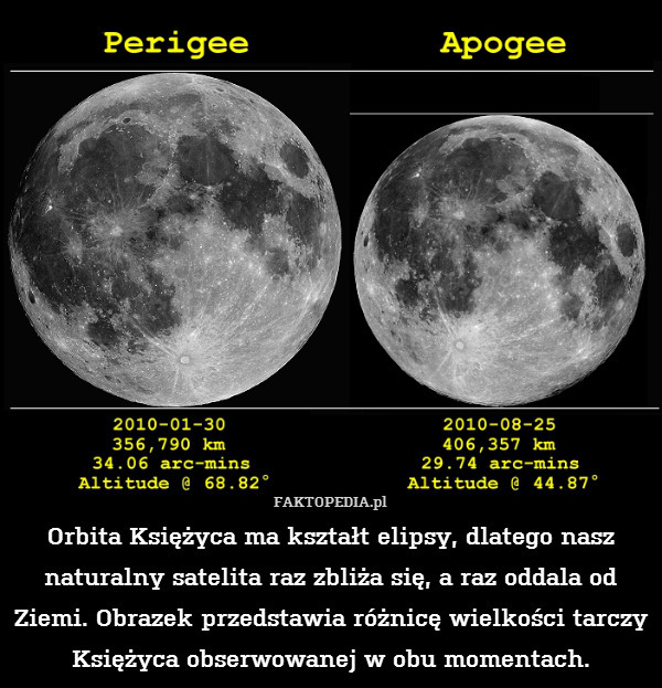 Orbita Księżyca ma kształt elipsy, dlatego nasz naturalny satelita raz zbliża się, a raz oddala od Ziemi. Obrazek przedstawia różnicę wielkości tarczy Księżyca obserwowanej w obu momentach. 