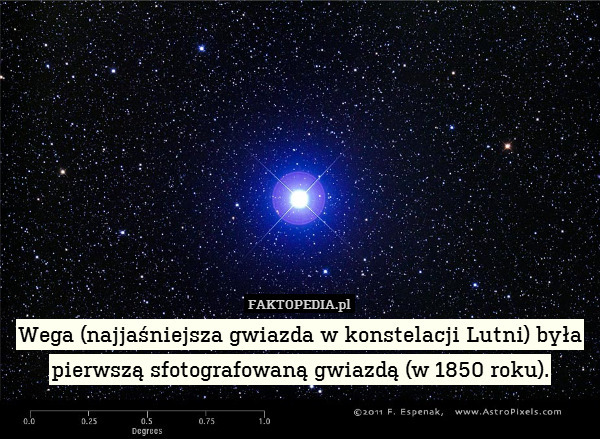 Wega (najjaśniejsza gwiazda w konstelacji Lutni) była pierwszą sfotografowaną gwiazdą (w 1850 roku). 