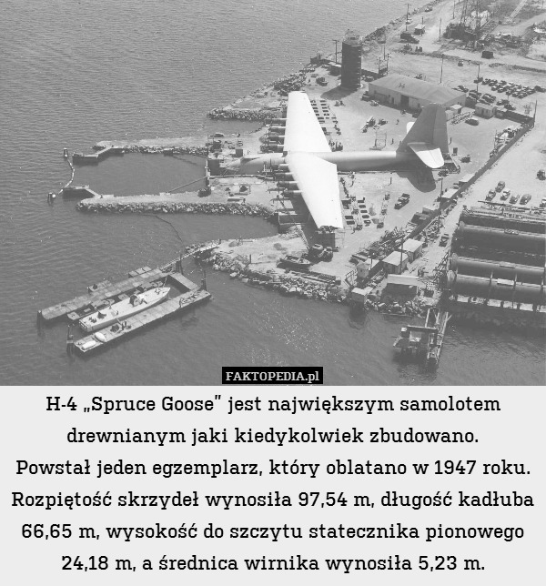 H-4 „Spruce Goose” jest największym samolotem drewnianym jaki kiedykolwiek zbudowano.
Powstał jeden egzemplarz, który oblatano w 1947 roku. Rozpiętość skrzydeł wynosiła 97,54 m, długość kadłuba 66,65 m, wysokość do szczytu statecznika pionowego 24,18 m, a średnica wirnika wynosiła 5,23 m. 