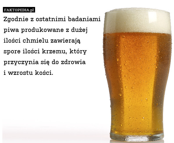Zgodnie z ostatnimi badaniami
piwa produkowane z dużej
ilości chmielu zawierają
spore ilości krzemu, który
przyczynia się do zdrowia
i wzrostu kości. 