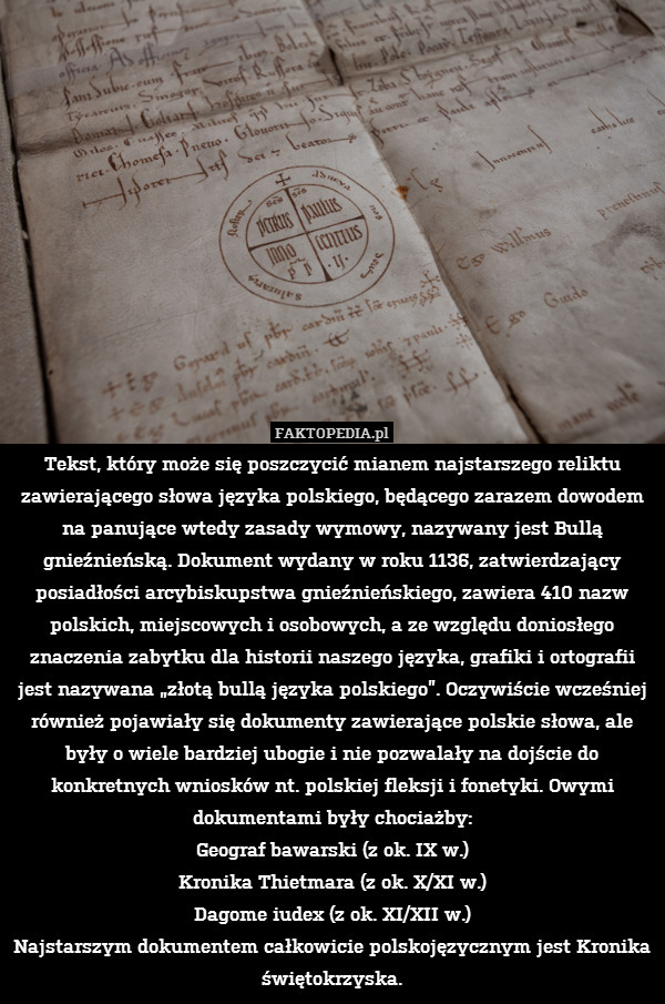 Tekst, który może się poszczycić mianem najstarszego reliktu zawierającego słowa języka polskiego, będącego zarazem dowodem na panujące wtedy zasady wymowy, nazywany jest Bullą gnieźnieńską. Dokument wydany w roku 1136, zatwierdzający posiadłości arcybiskupstwa gnieźnieńskiego, zawiera 410 nazw polskich, miejscowych i osobowych, a ze względu doniosłego znaczenia zabytku dla historii naszego języka, grafiki i ortografii jest nazywana „złotą bullą języka polskiego”. Oczywiście wcześniej również pojawiały się dokumenty zawierające polskie słowa, ale były o wiele bardziej ubogie i nie pozwalały na dojście do konkretnych wniosków nt. polskiej fleksji i fonetyki. Owymi dokumentami były chociażby:
Geograf bawarski (z ok. IX w.)
Kronika Thietmara (z ok. X/XI w.)
Dagome iudex (z ok. XI/XII w.)
Najstarszym dokumentem całkowicie polskojęzycznym jest Kronika świętokrzyska. 