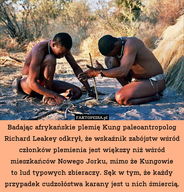 Badając afrykańskie plemię Kung paleoantropolog Richard Leakey odkrył, że wskaźnik zabójstw wśród członków plemienia jest większy niż wśród mieszkańców Nowego Jorku, mimo że Kungowie
to lud typowych zbieraczy. Sęk w tym, że każdy przypadek cudzołóstwa karany jest u nich śmiercią. 